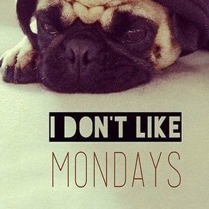 Meet your Posher, Rickie